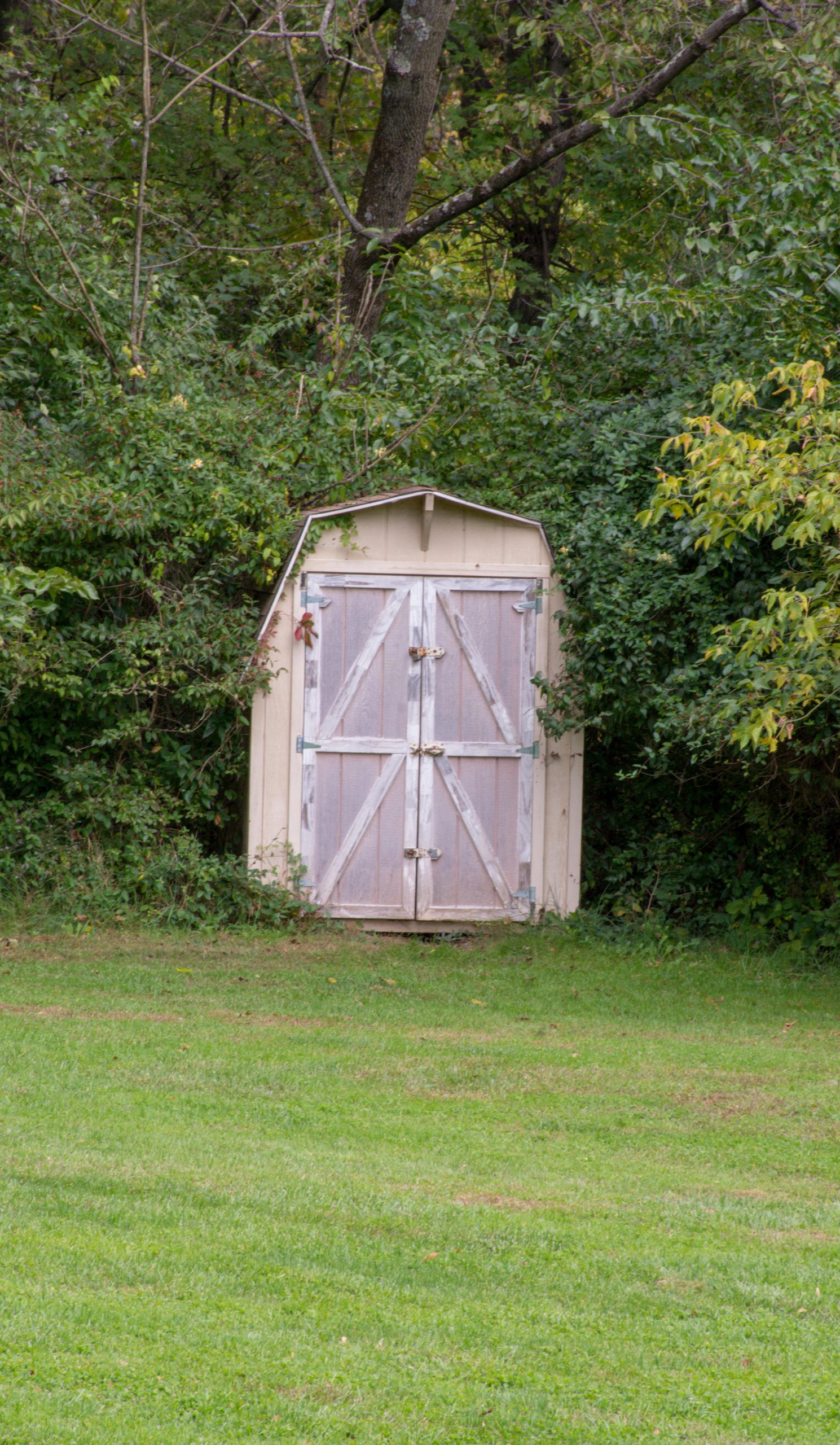 Budget et construction complète d'un abri de jardin
