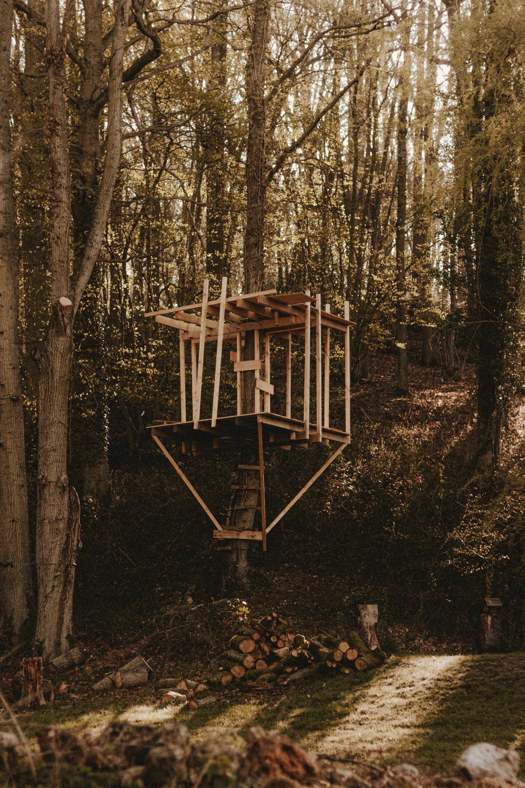 Cabane construction économique guide complet