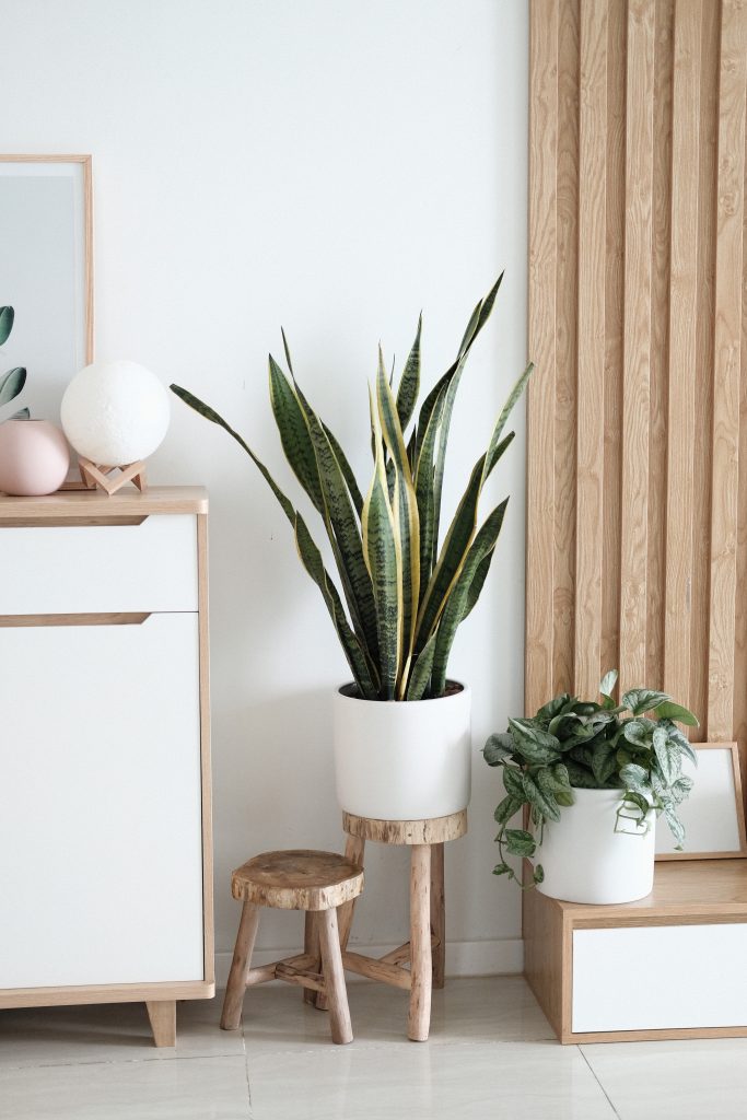 une décoration de salon style scandinave